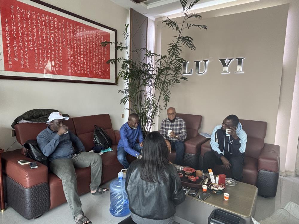 Luyi Auto がナイジェリアの建設クライアントを 12 台のカスタマイズされた 40 トン低床セミトレーラーで重機輸送の改善にどのように支援したか